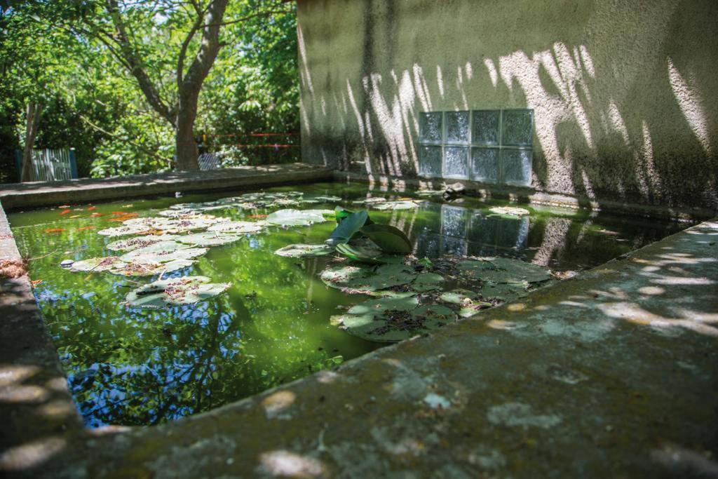 Authentique Mas Provencal Gemenos Villa Екстериор снимка